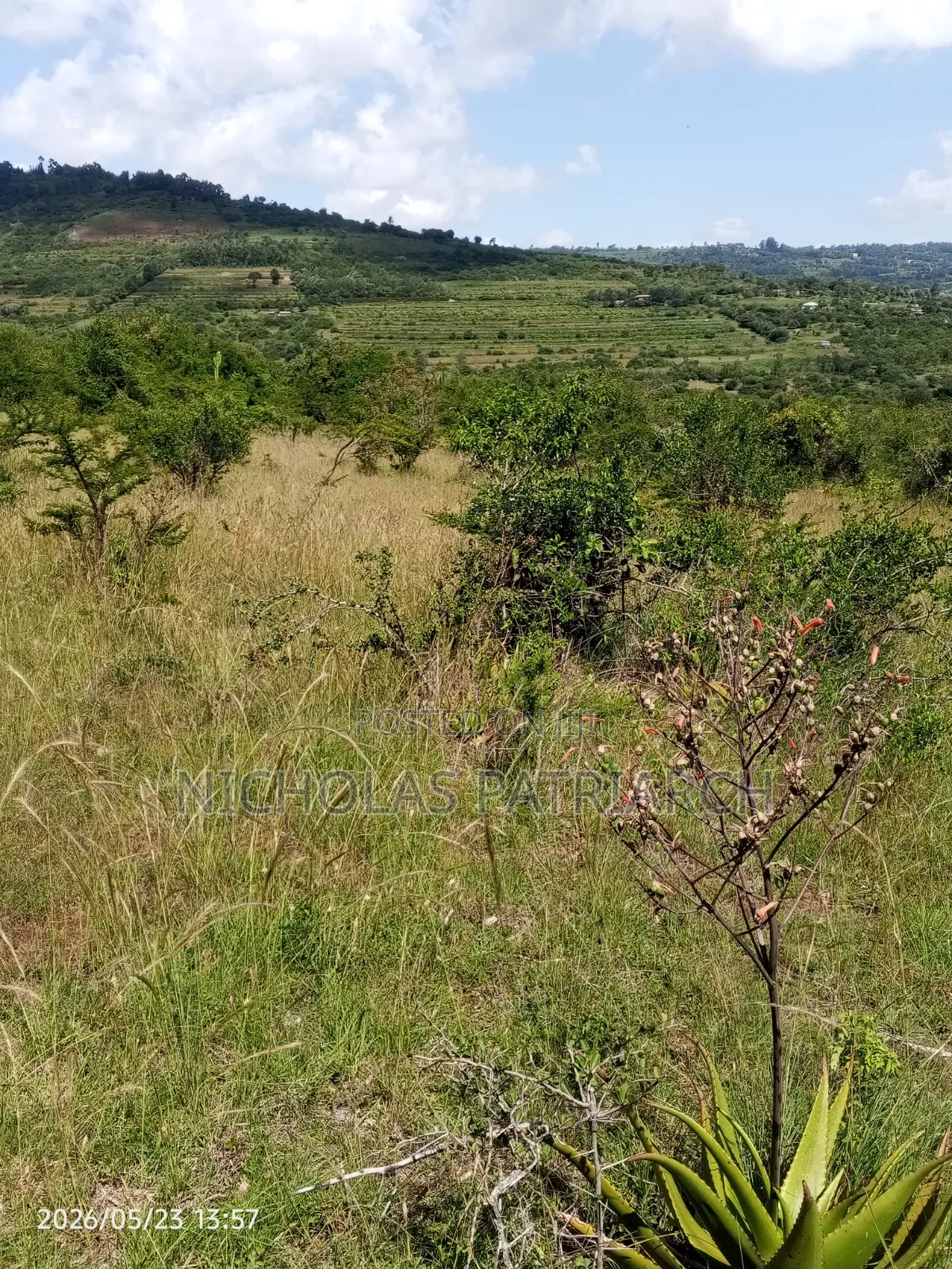 10 Acres Wamunyu Lema Selling at Per Acre in Mua Hills