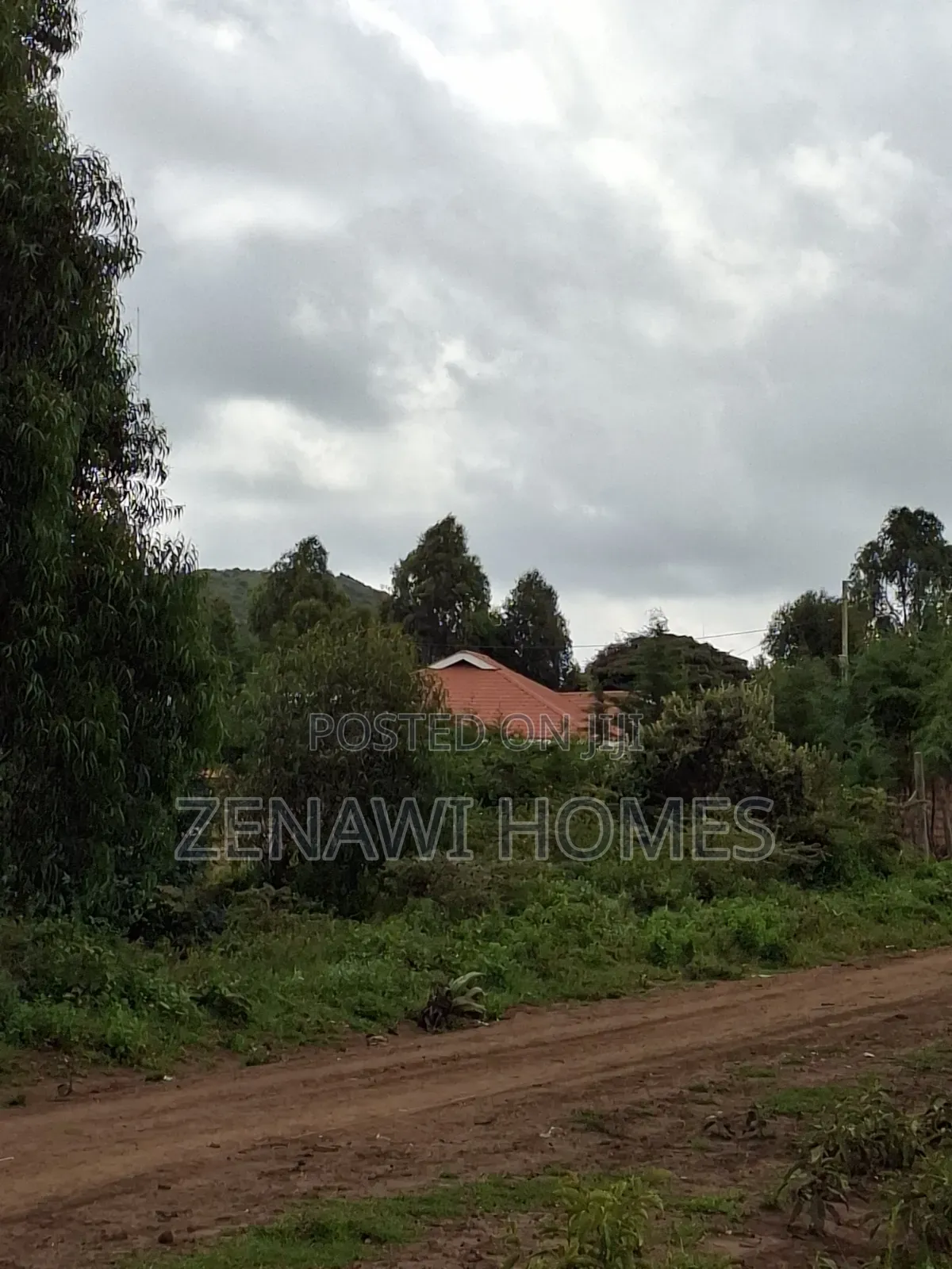 Buy and Build Jr in Zambezi/Sigona