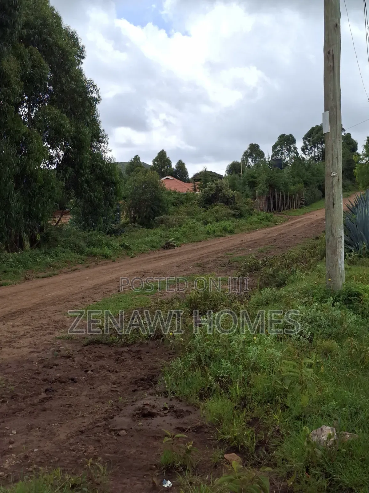 Buy and Build Jr in Zambezi/Sigona
