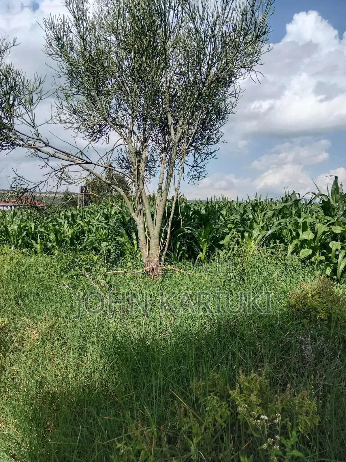 It's Is 2acrs on Sale at Naivasha Opposite Keroche 1.5km From Highway in Naivasha East