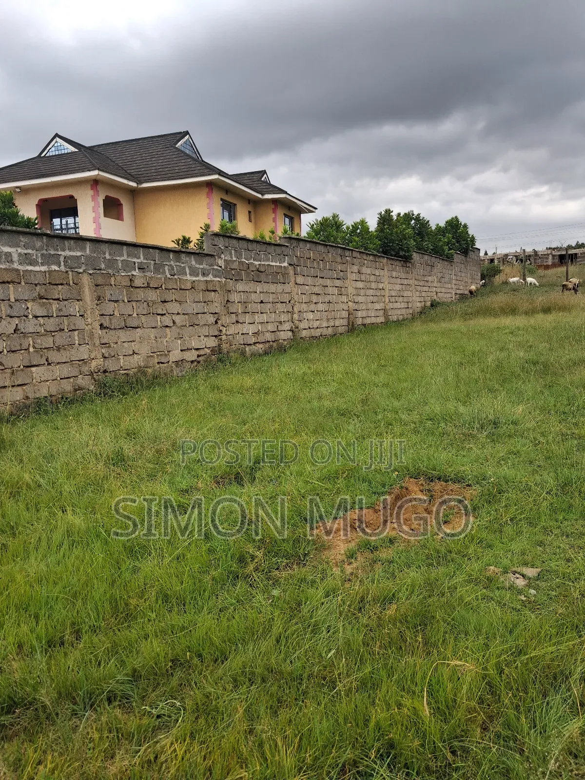 Membly Pavilion Court Well Drained Murrum Soil 1/4 Acre Ready Title in Membley Estate