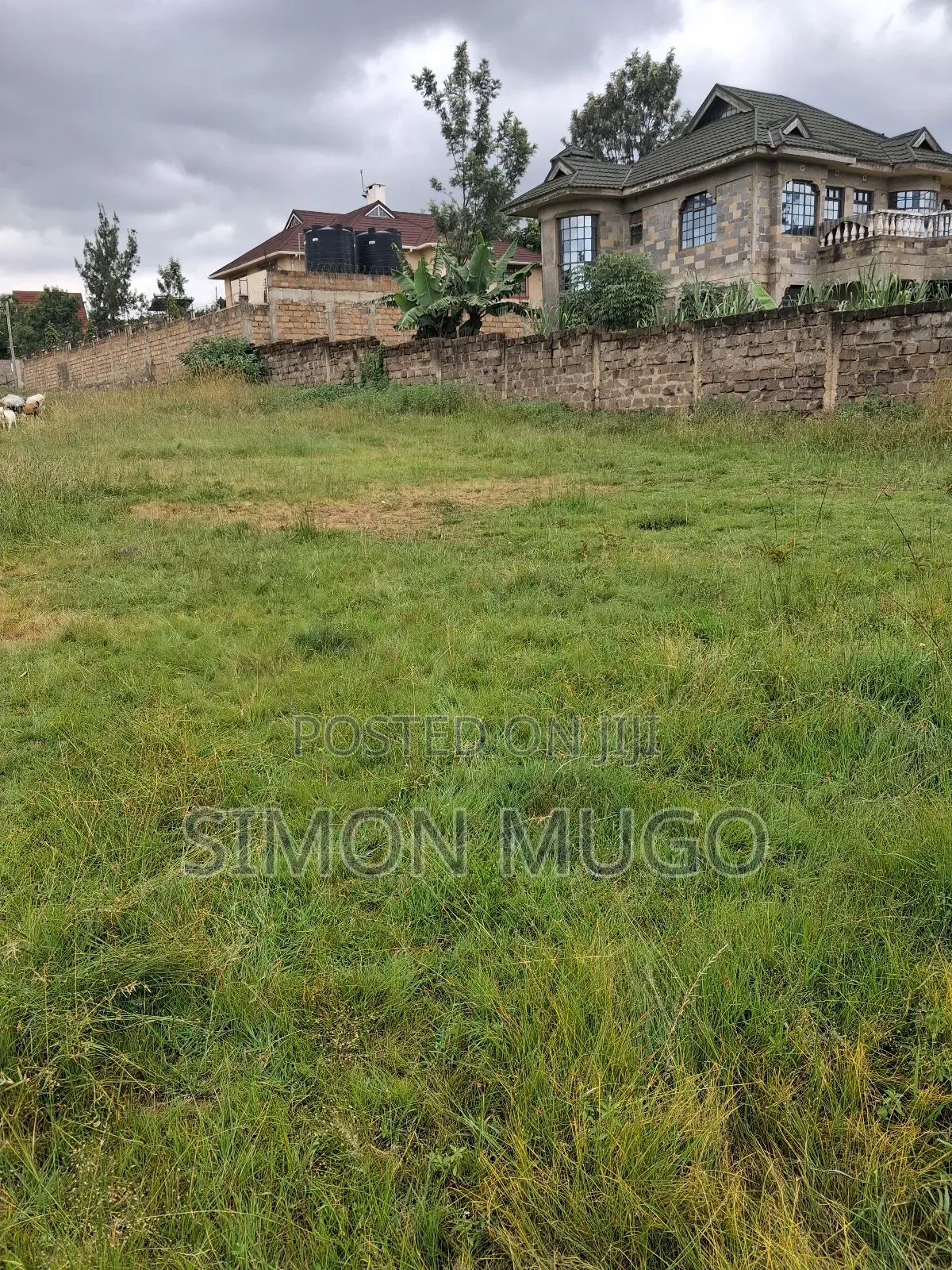 Membly Pavilion Court Well Drained Murrum Soil 1/4 Acre Ready Title in Membley Estate