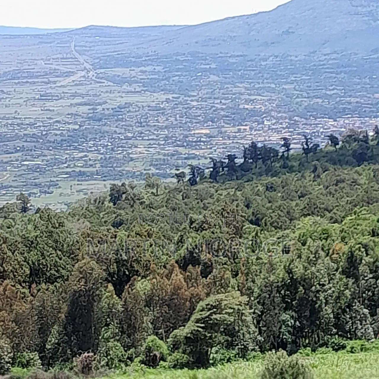 4 Acres Gitithia in Lari/Kirenga