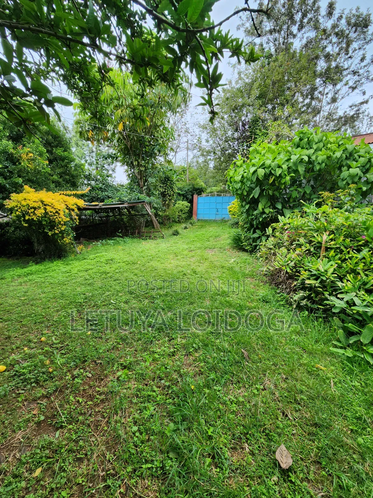 Prime 1⁄2acre Residential Ngong -46 in Ngong CBD