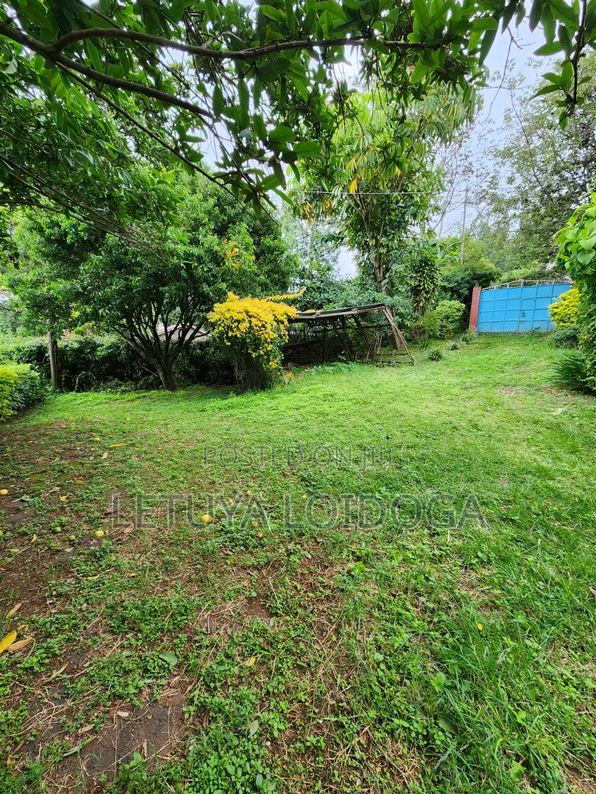 Prime 1⁄2acre Residential Ngong -46 in Ngong CBD