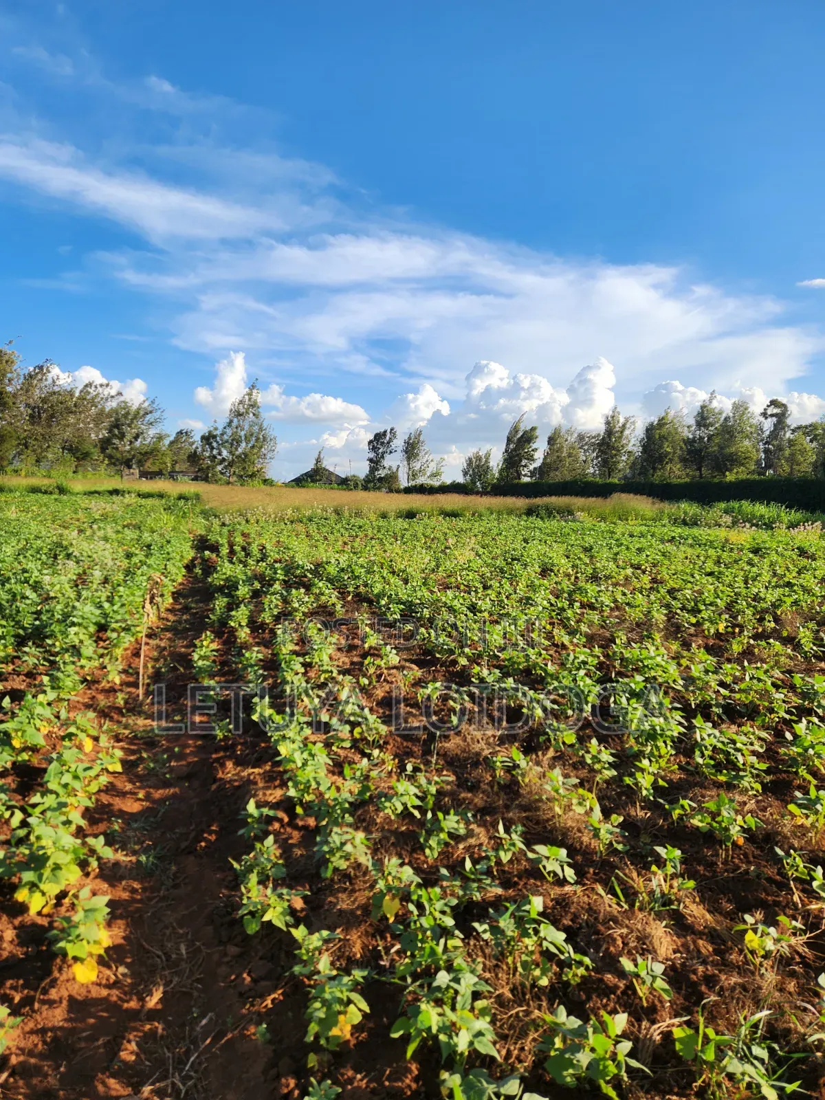 Prime 3 Acres on Sale Ngong-Kibiko in Kibiku