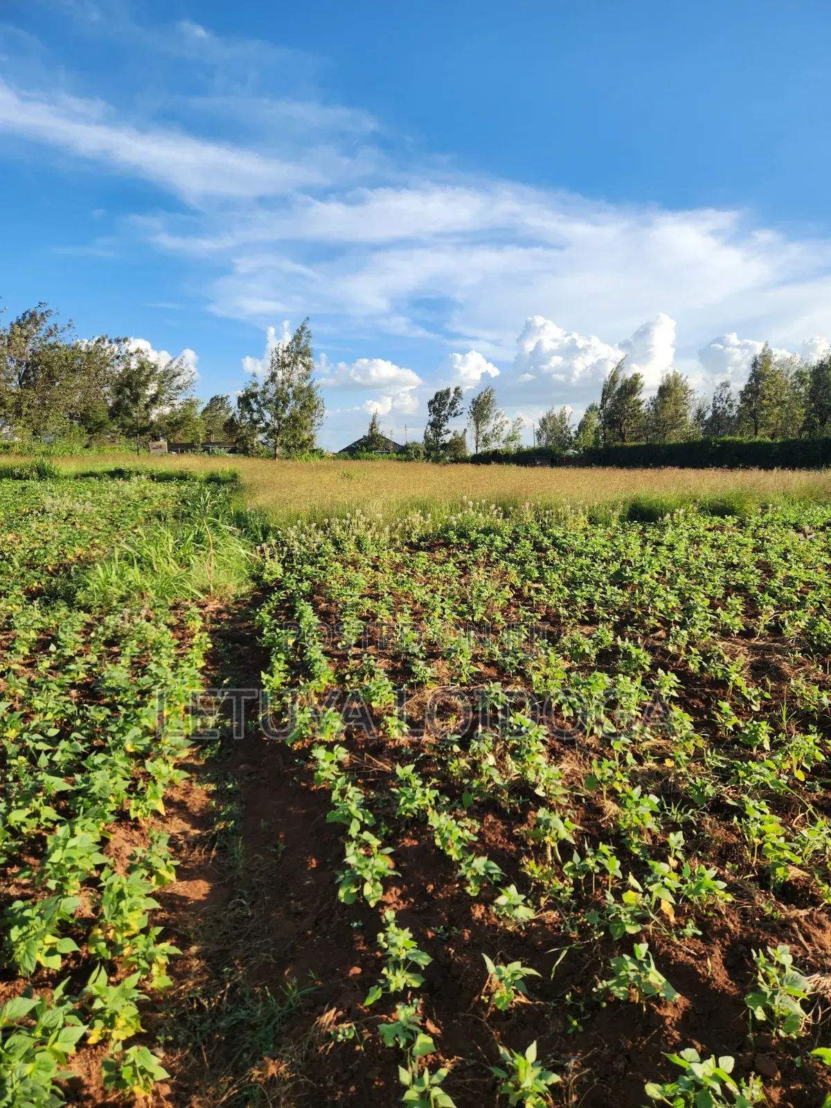 Prime 3 Acres on Sale Ngong-Kibiko in Kibiku