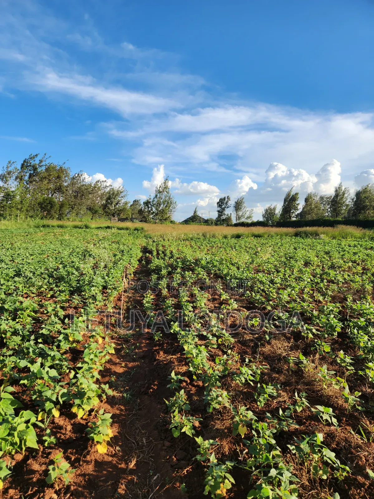 Prime 3 Acres on Sale Ngong-Kibiko in Kibiku