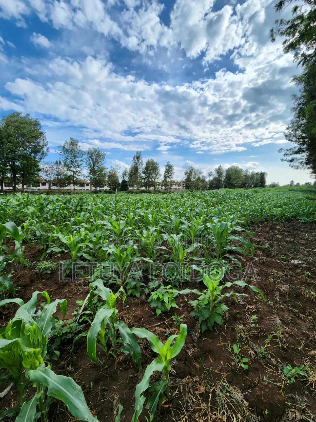 Beautiful 2 Acres Ngong-Kibiko(Chavara) in Kibiku