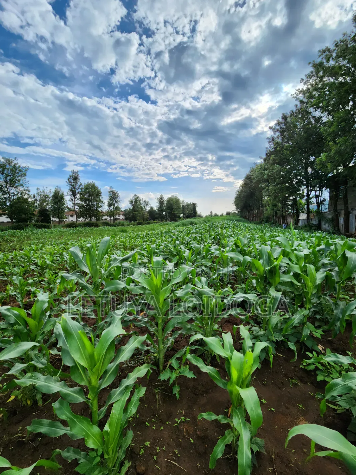 Beautiful 2 Acres Ngong-Kibiko(Chavara) in Kibiku