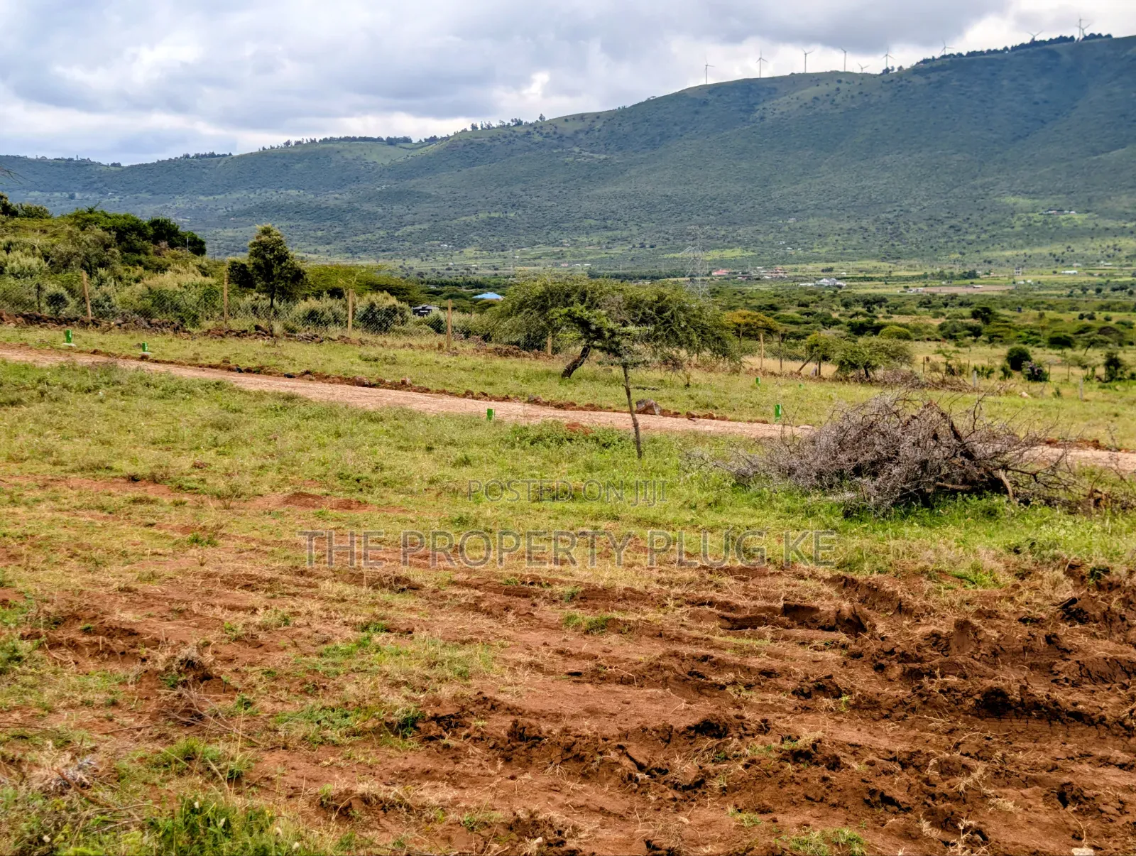 Kimuka 50 by 100 Plots for Sale in Ngong in Kibiku