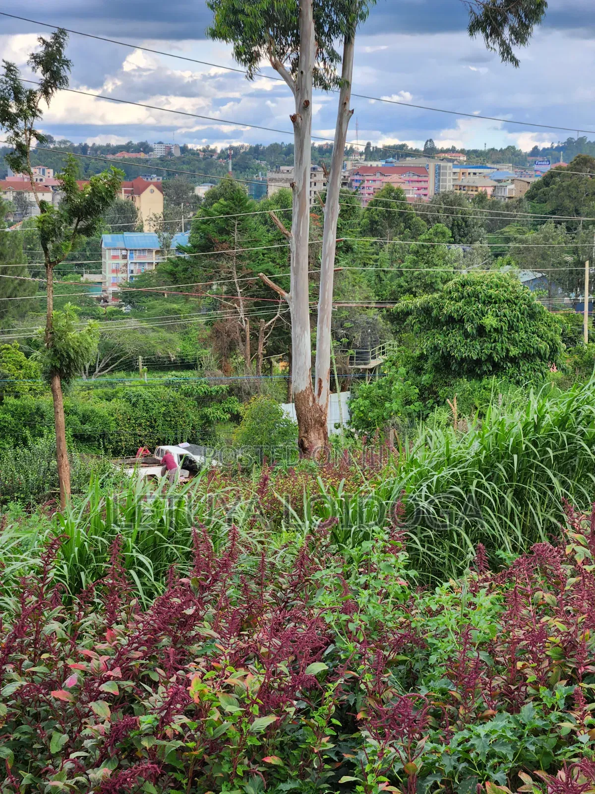 Prime 1⁄8acre Plot Ngong Ideal for Apartments in Ngong CBD