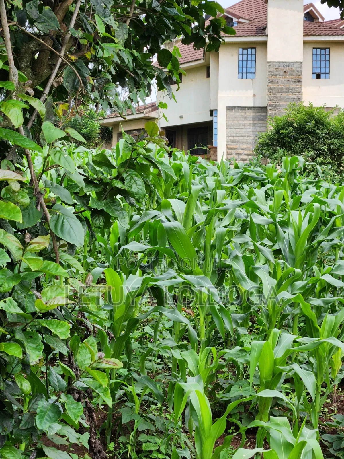 A Prime 1⁄2 Acre Ngong Lemiso Road in Ngong CBD