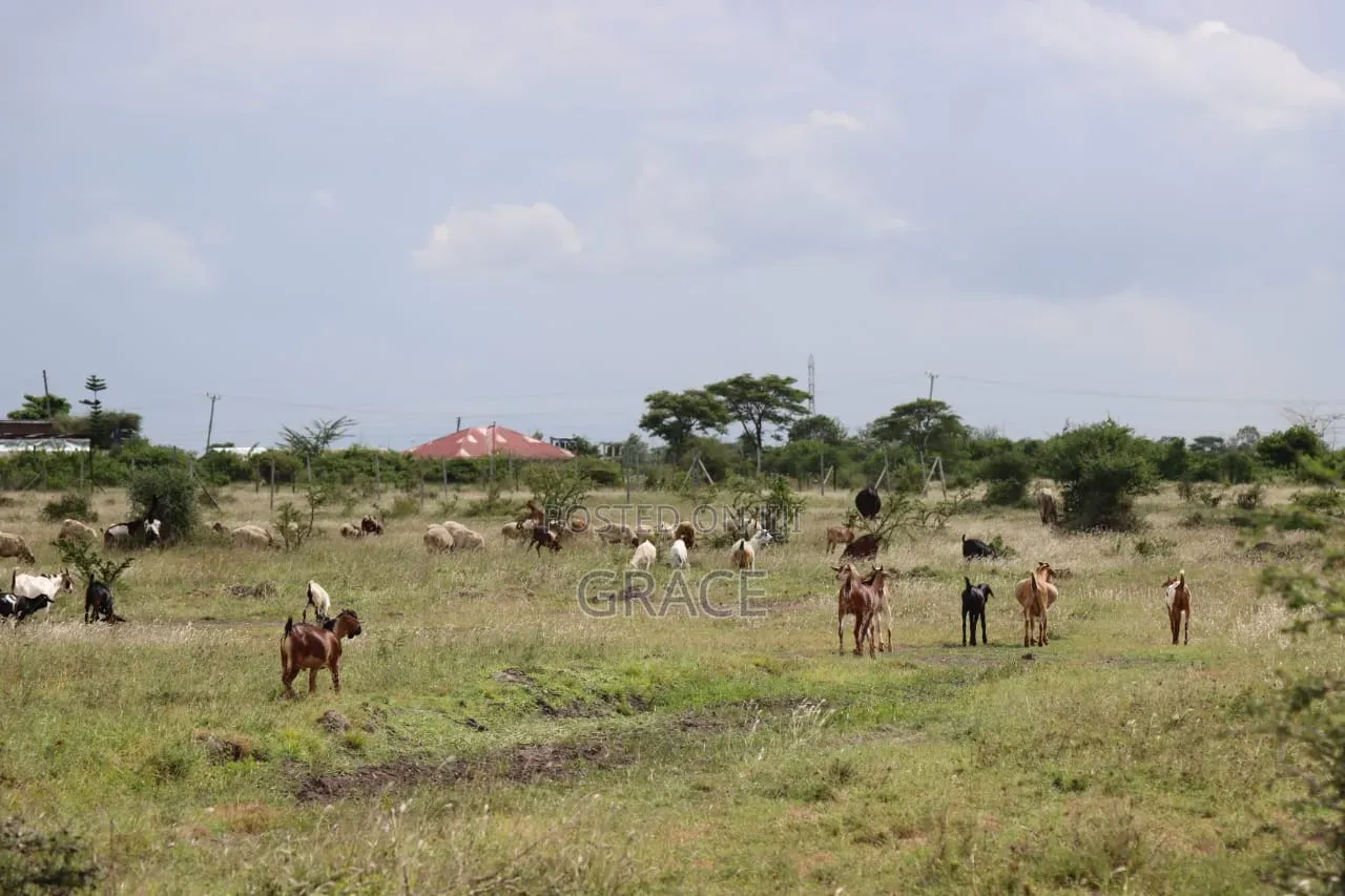Juja_farm Prime Plots _Kwa Murage in Kalimoni