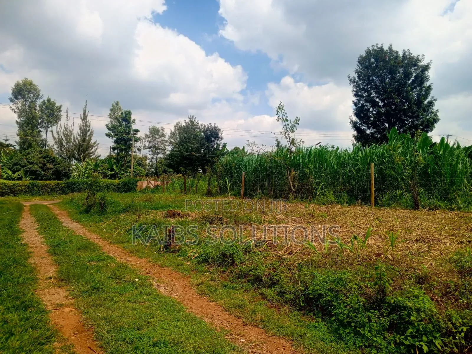 Muthacha Mwongoiya Prime Plot,5.8 in Muchatha