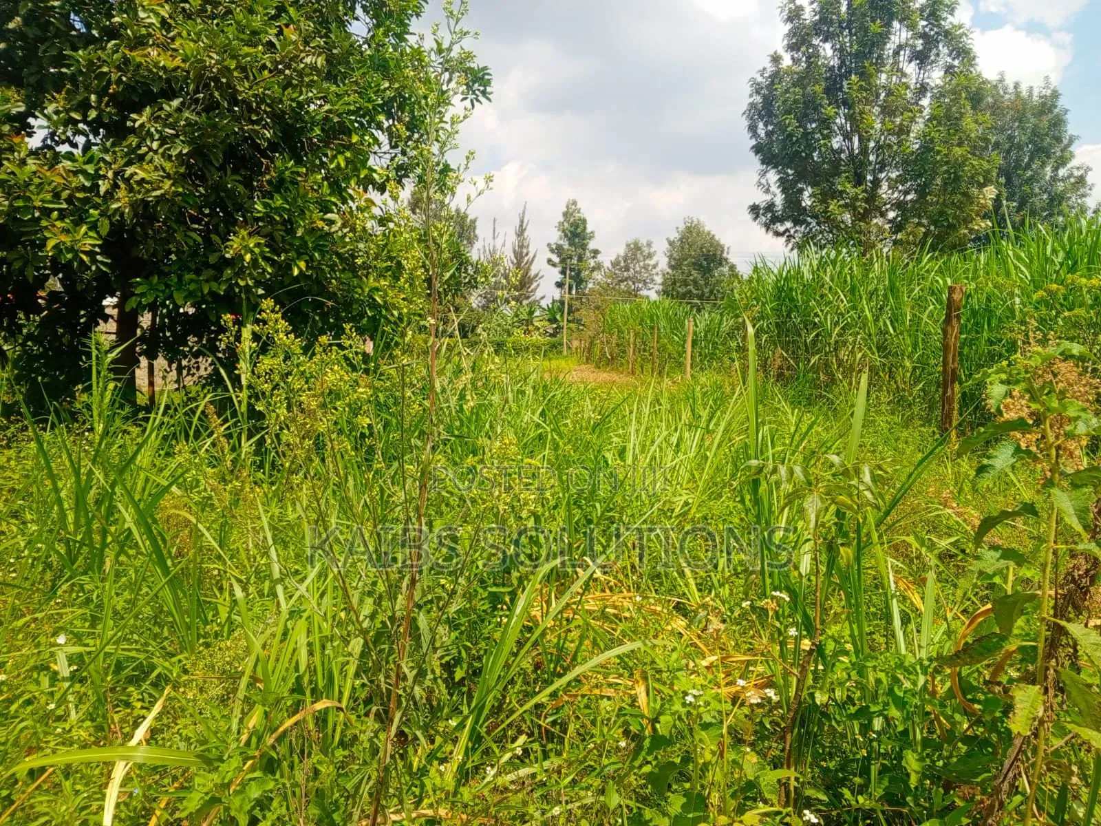 Muthacha Mwongoiya Prime Plot,5.8 in Muchatha