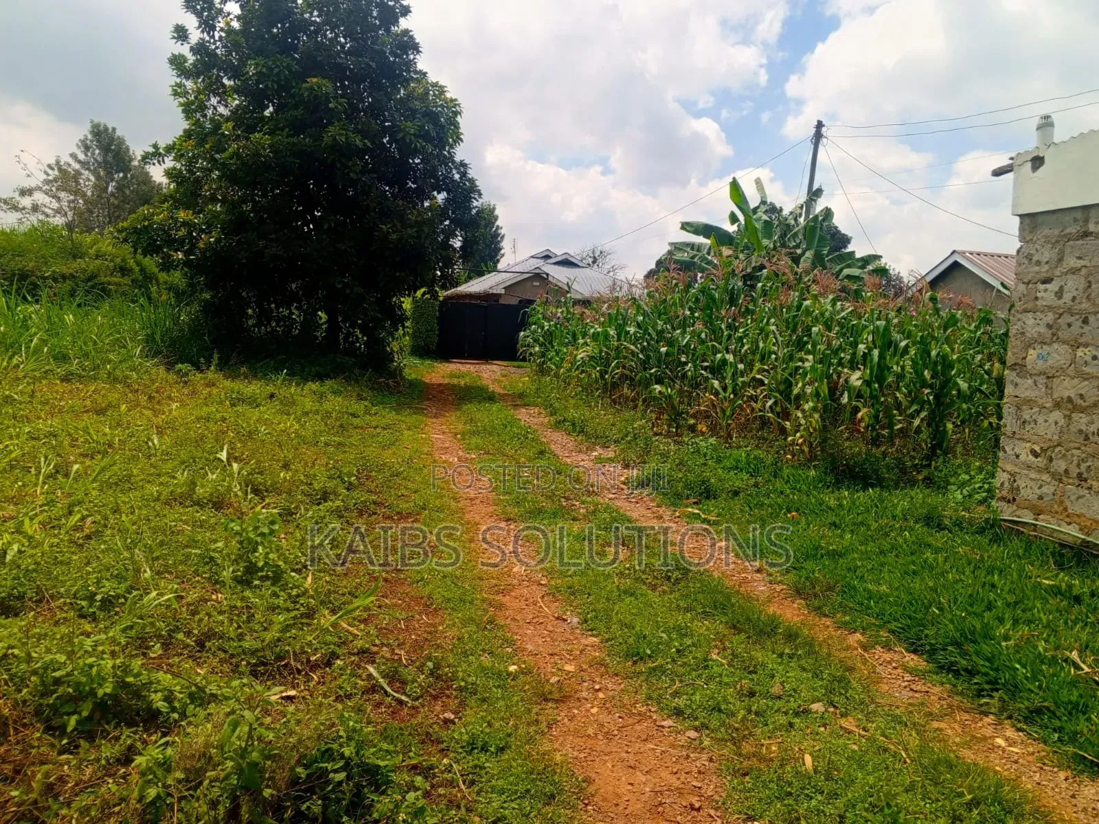 Muthacha Mwongoiya Prime Plot,5.8 in Muchatha