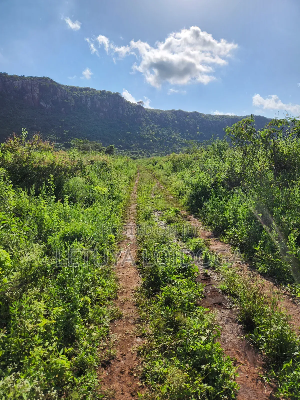 Affordable 1⁄8acre Plots Ngong-Kimuka in Kibiku