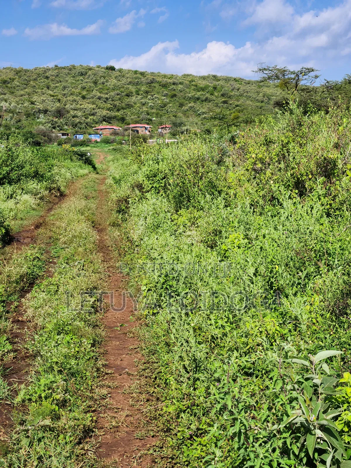 Affordable 1⁄8acre Plots Ngong-Kimuka in Kibiku