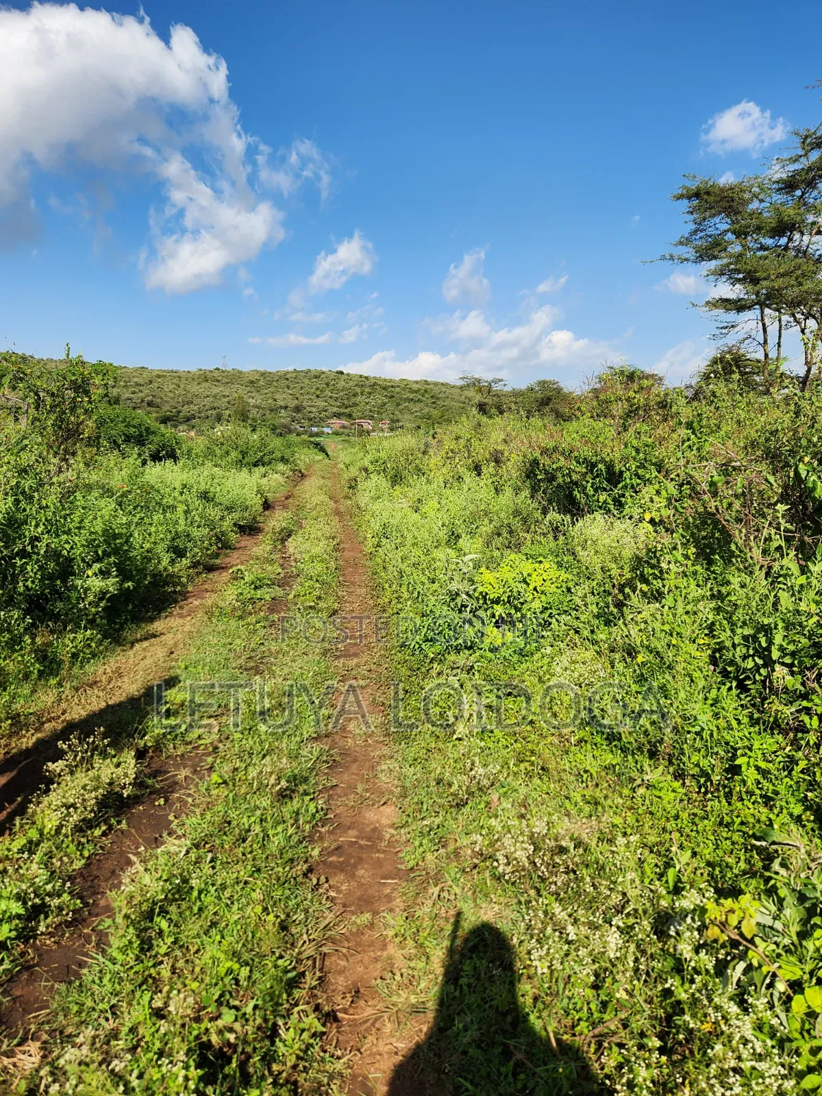 Affordable 1⁄8acre Plots Ngong-Kimuka in Kibiku