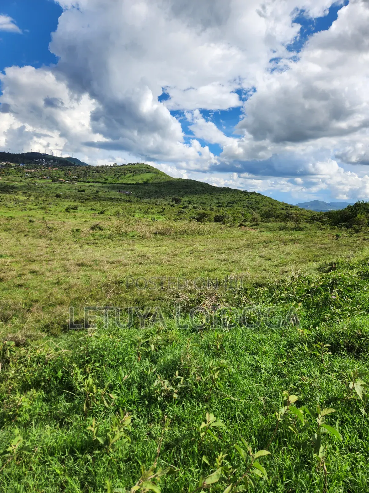 Ngong 65 Acres on Sale in Kibiku