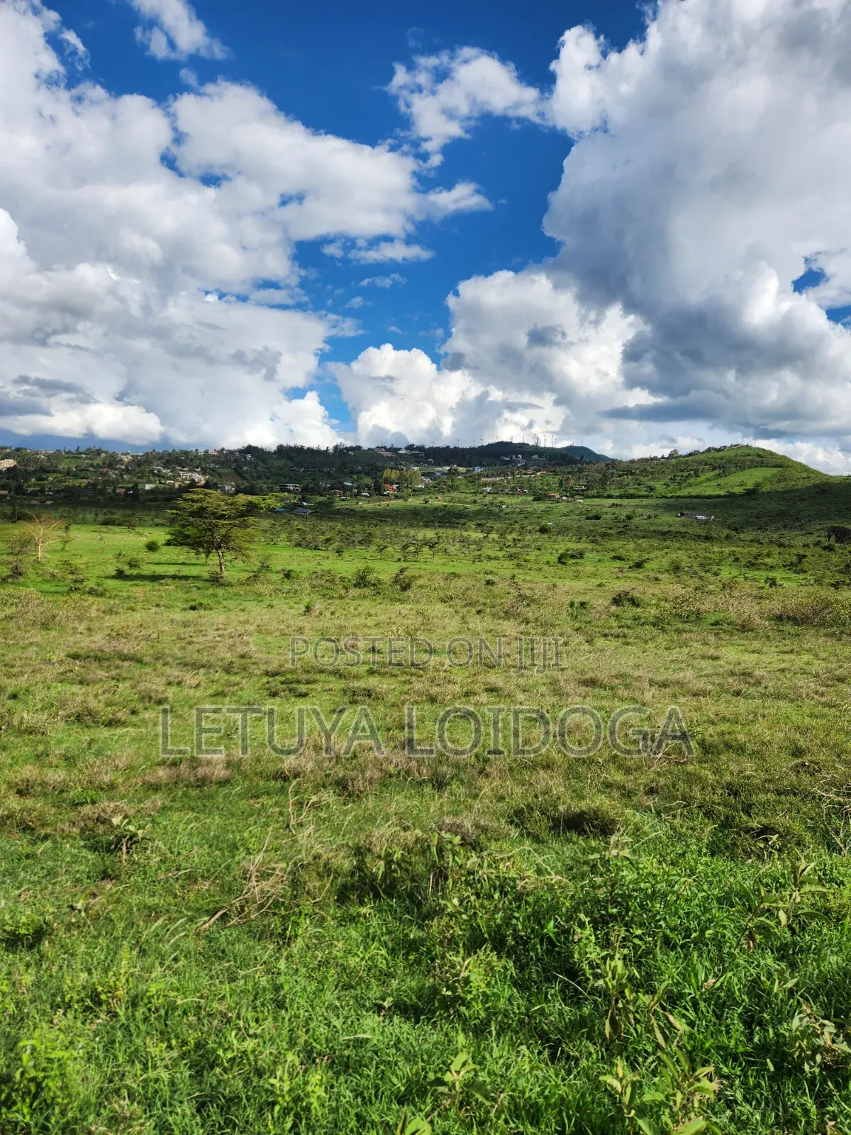 Ngong 65 Acres on Sale in Kibiku