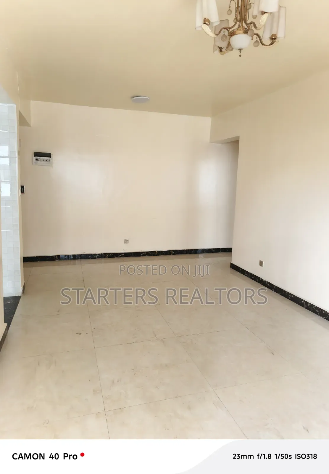 1bdrm Apartment in Kileleshwa for rent in Kileleshwa