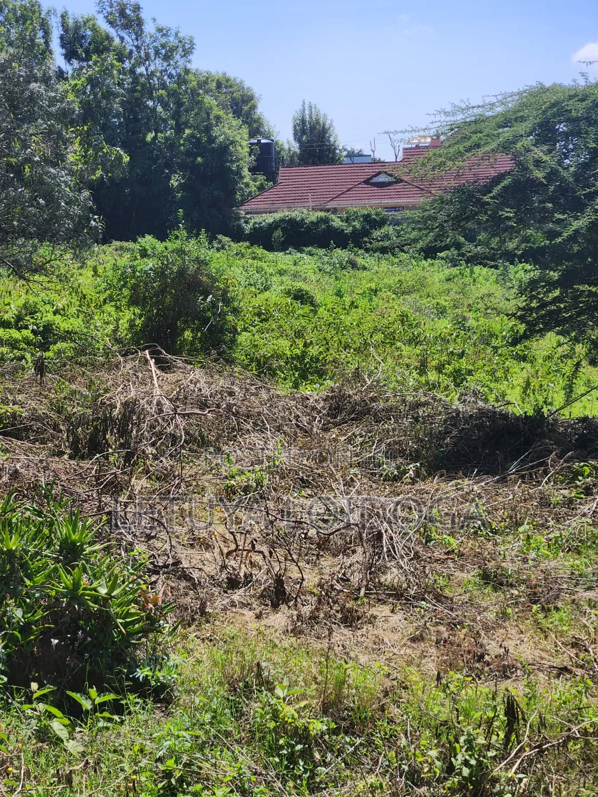 Prime 1⁄8 Acre Plots Ngong-Kibiko (Maragara Rd) in Kibiku