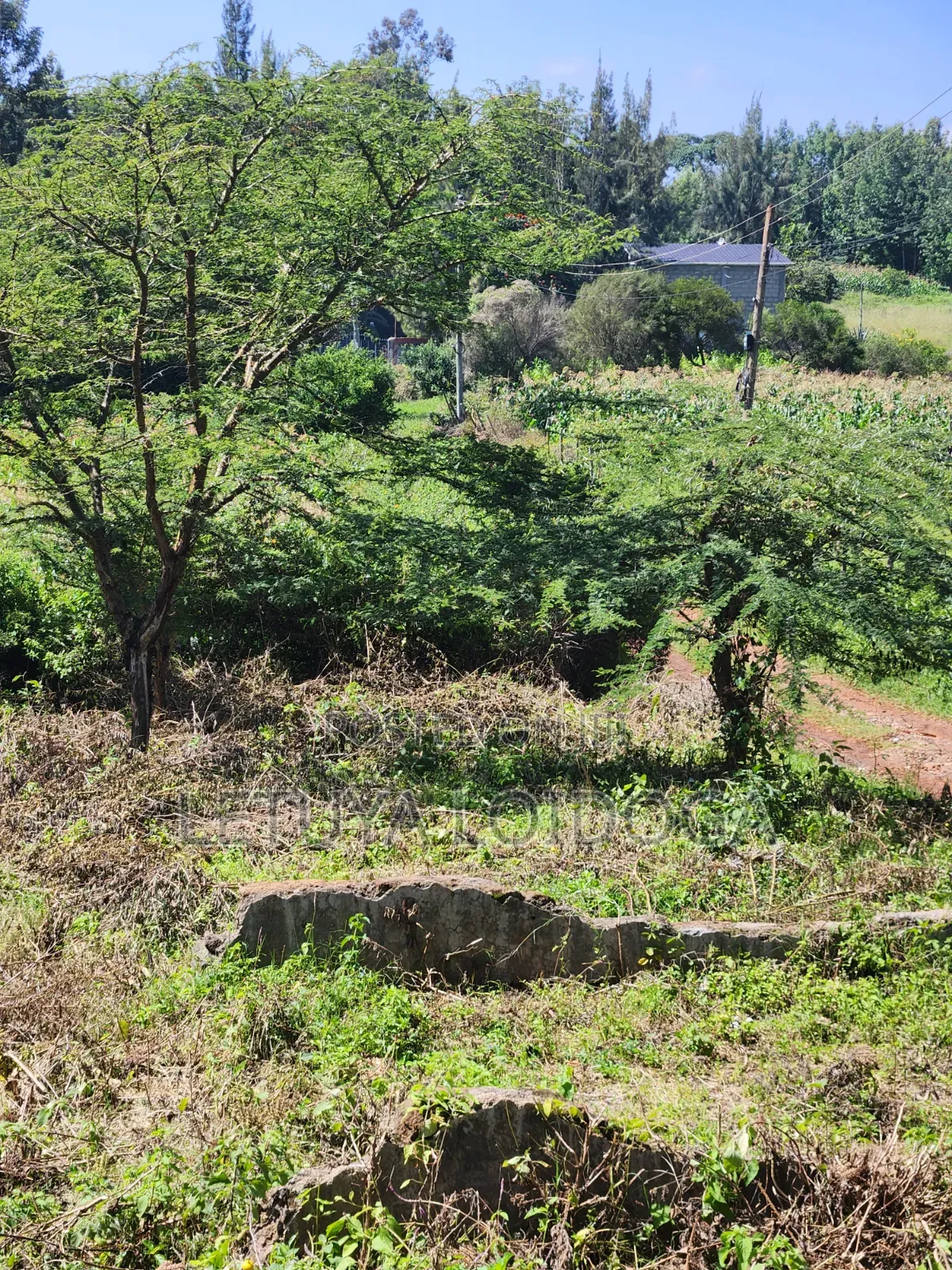 Prime 1⁄8 Acre Plots Ngong-Kibiko (Maragara Rd) in Kibiku