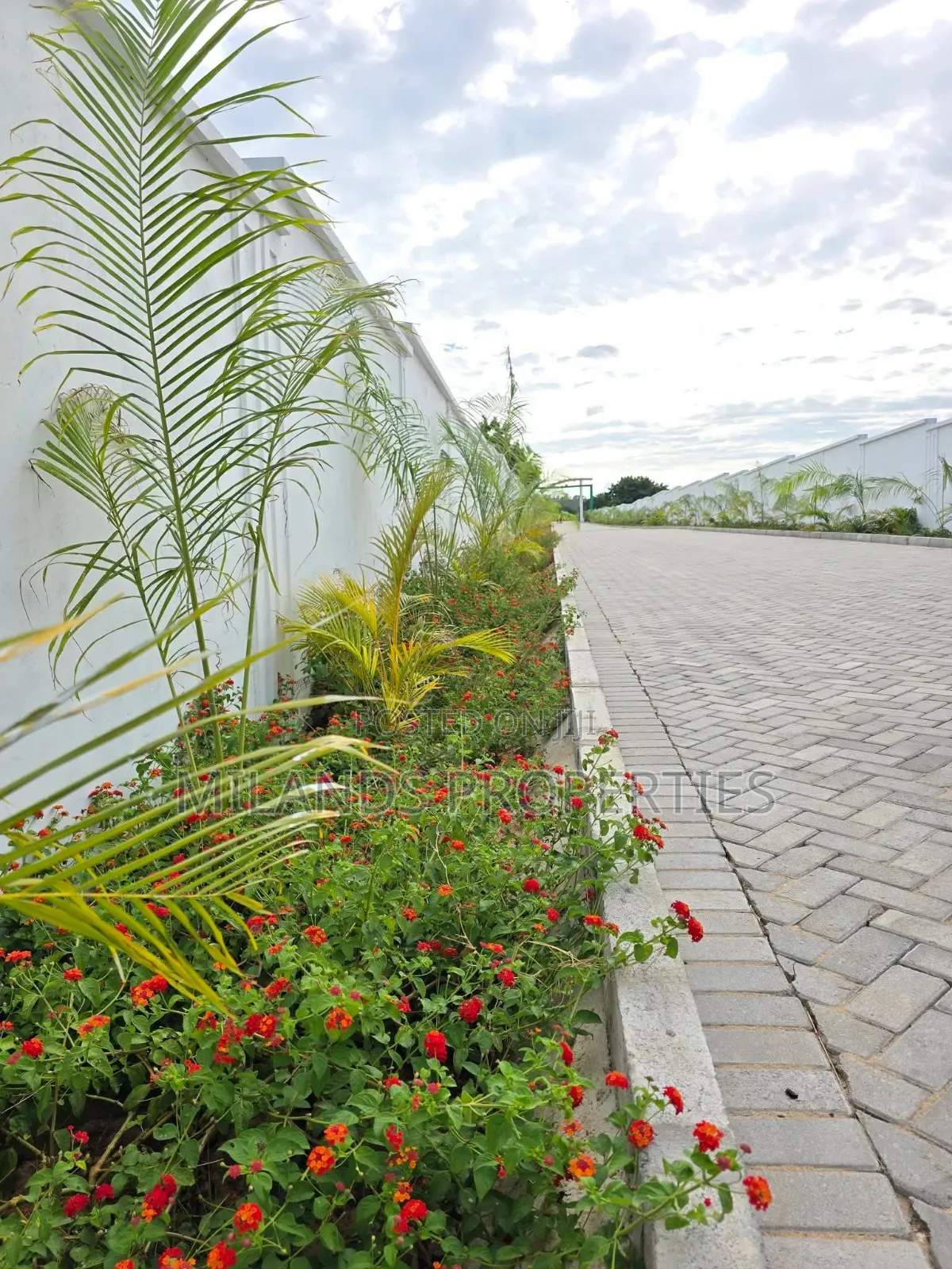 Land for Sale in Kilifi Vipingo in Vipingo