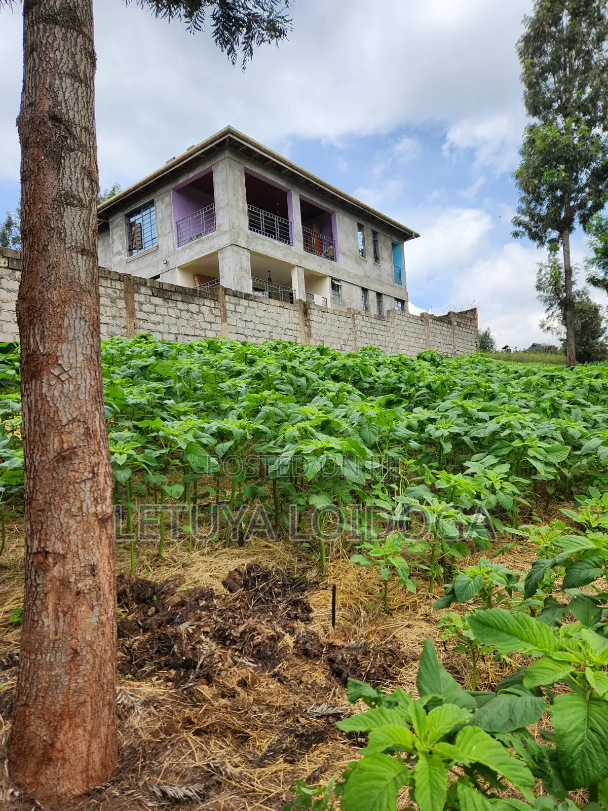 1⁄4 Acre Ngong-Lemiso Road (Silicon Valley) in Ngong CBD