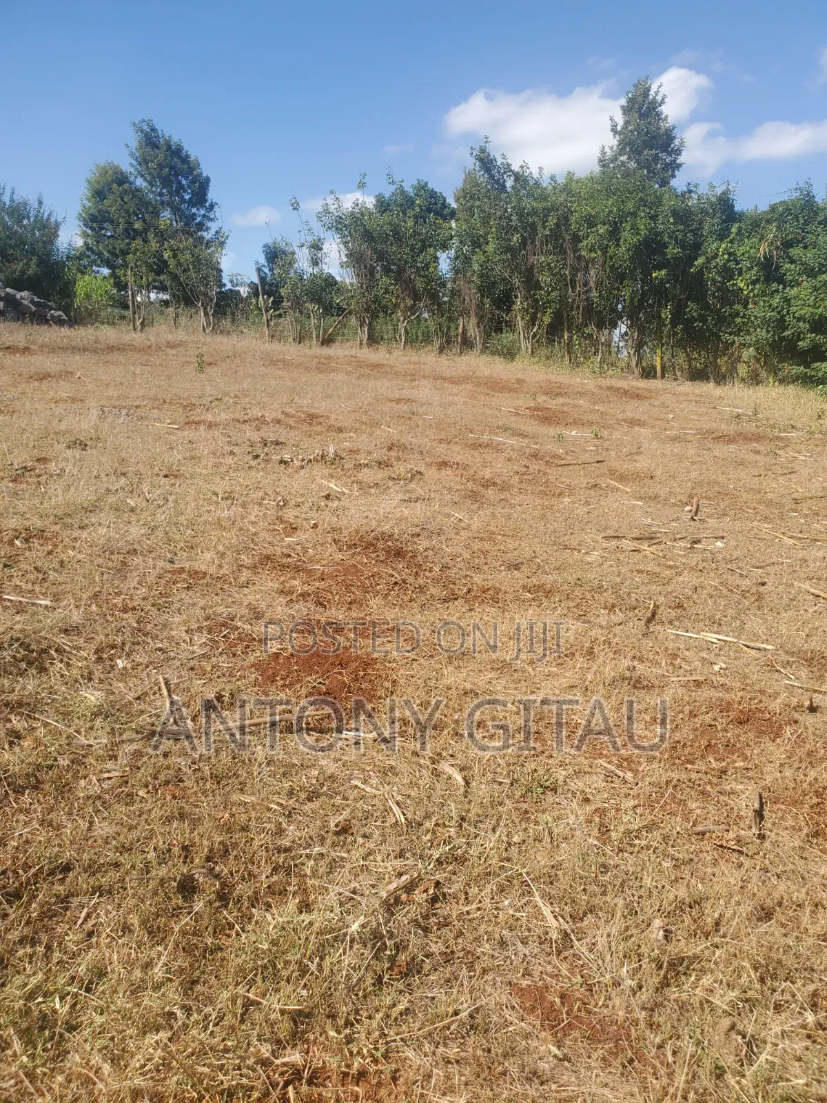 Alliance School Prime 1/8 Plot for Sale in Karai