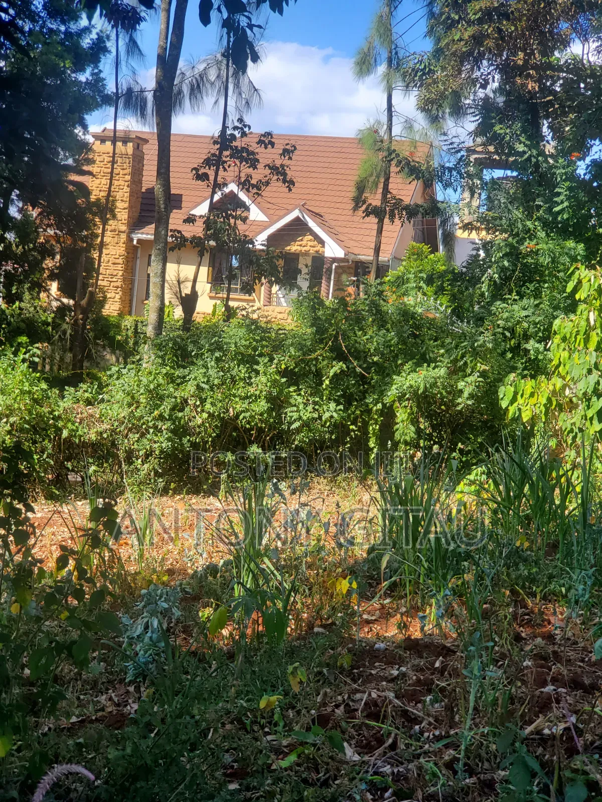 Alliance School Prime 1/8 Plot for Sale in Karai