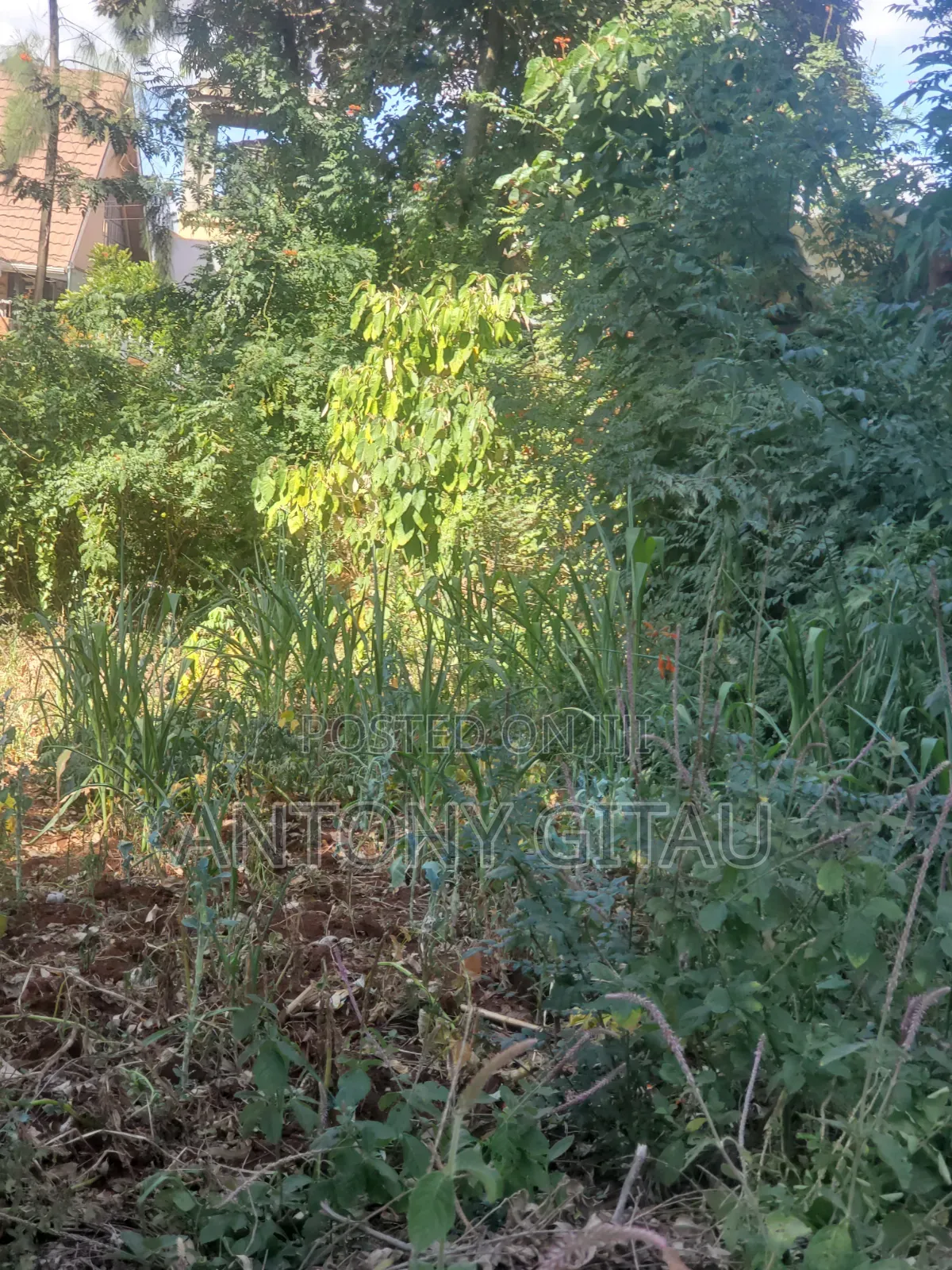 Alliance School Prime 1/8 Plot for Sale in Karai