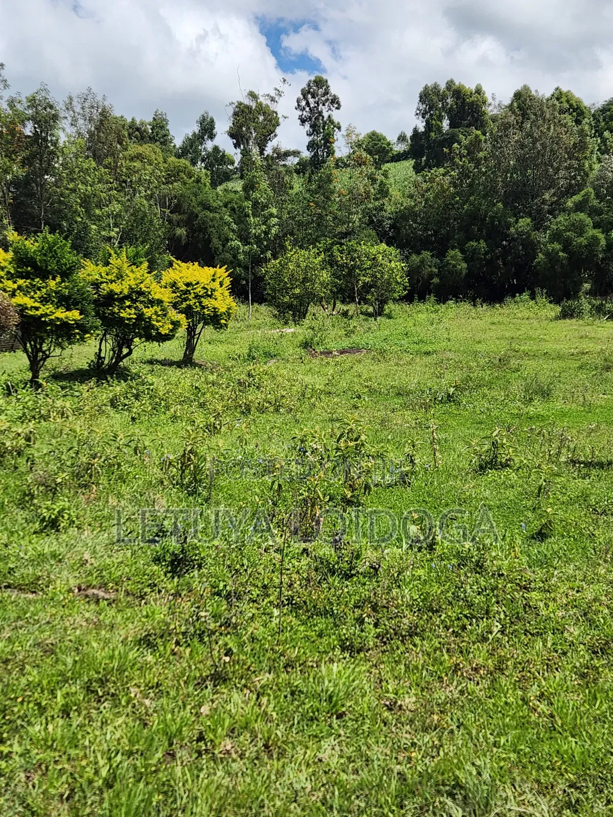 1⁄8 Acre Plots Ngong-Kiserian in Kiserian