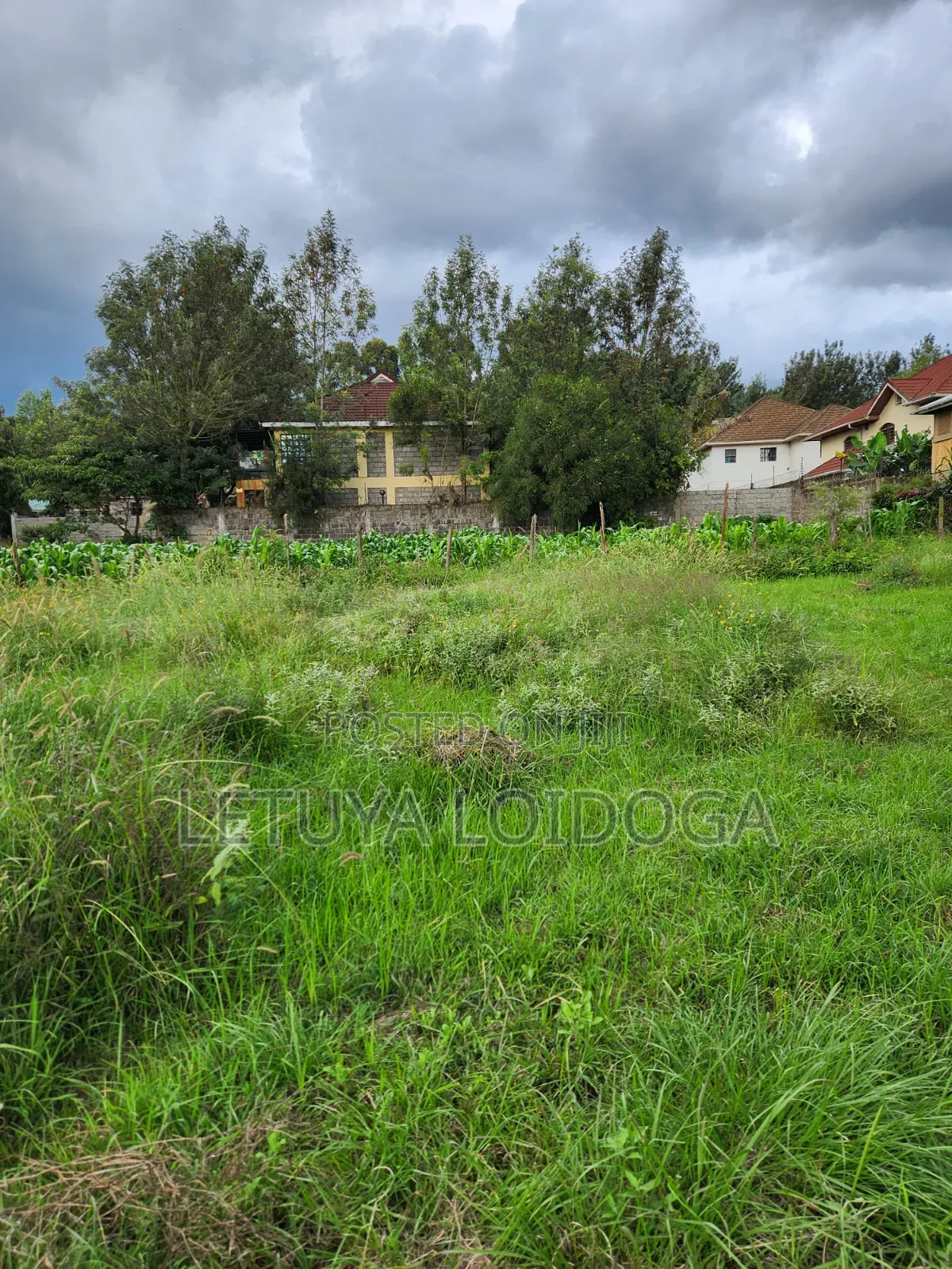 1⁄4 Acres on Sale Ngong-Kibiko( Samburu Road) in Kibiku