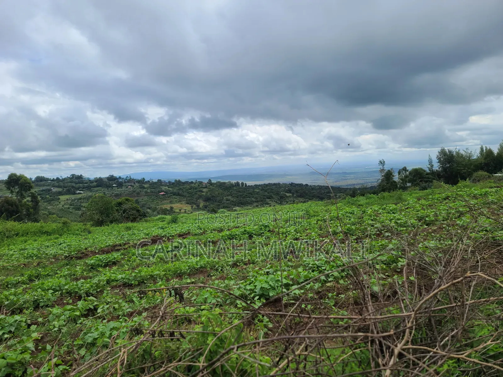 Mua Hills an Acre From as Low as 4.5m in Mua