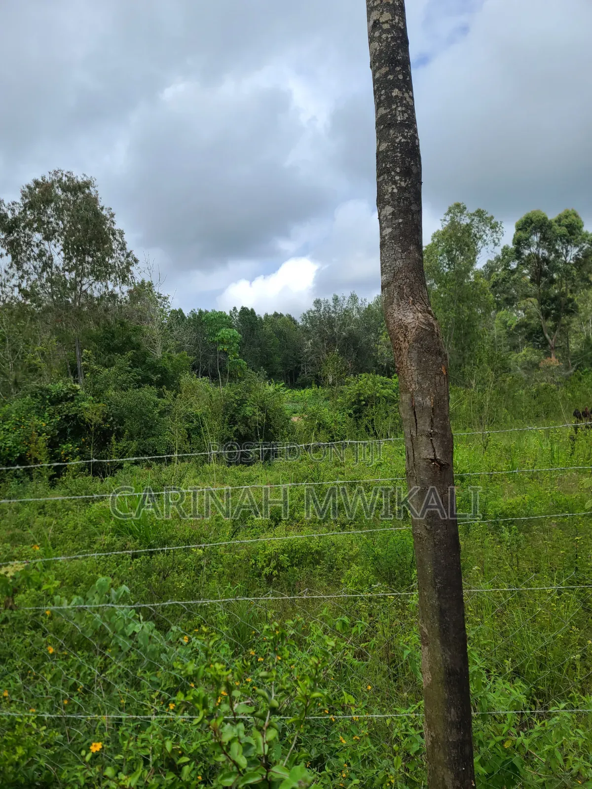 Mua Hills an Acre From as Low as 4.5m in Mua