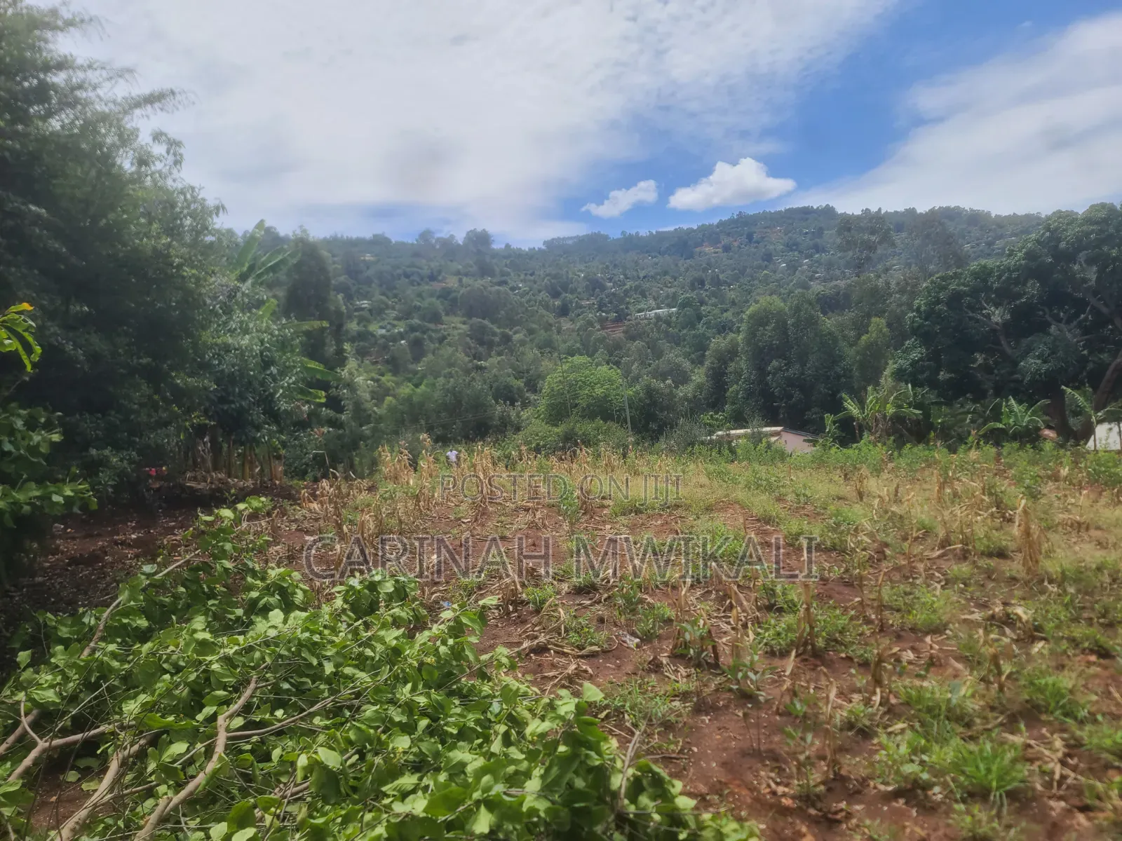 Mua Hills an Acre From as Low as 4.5m in Mua