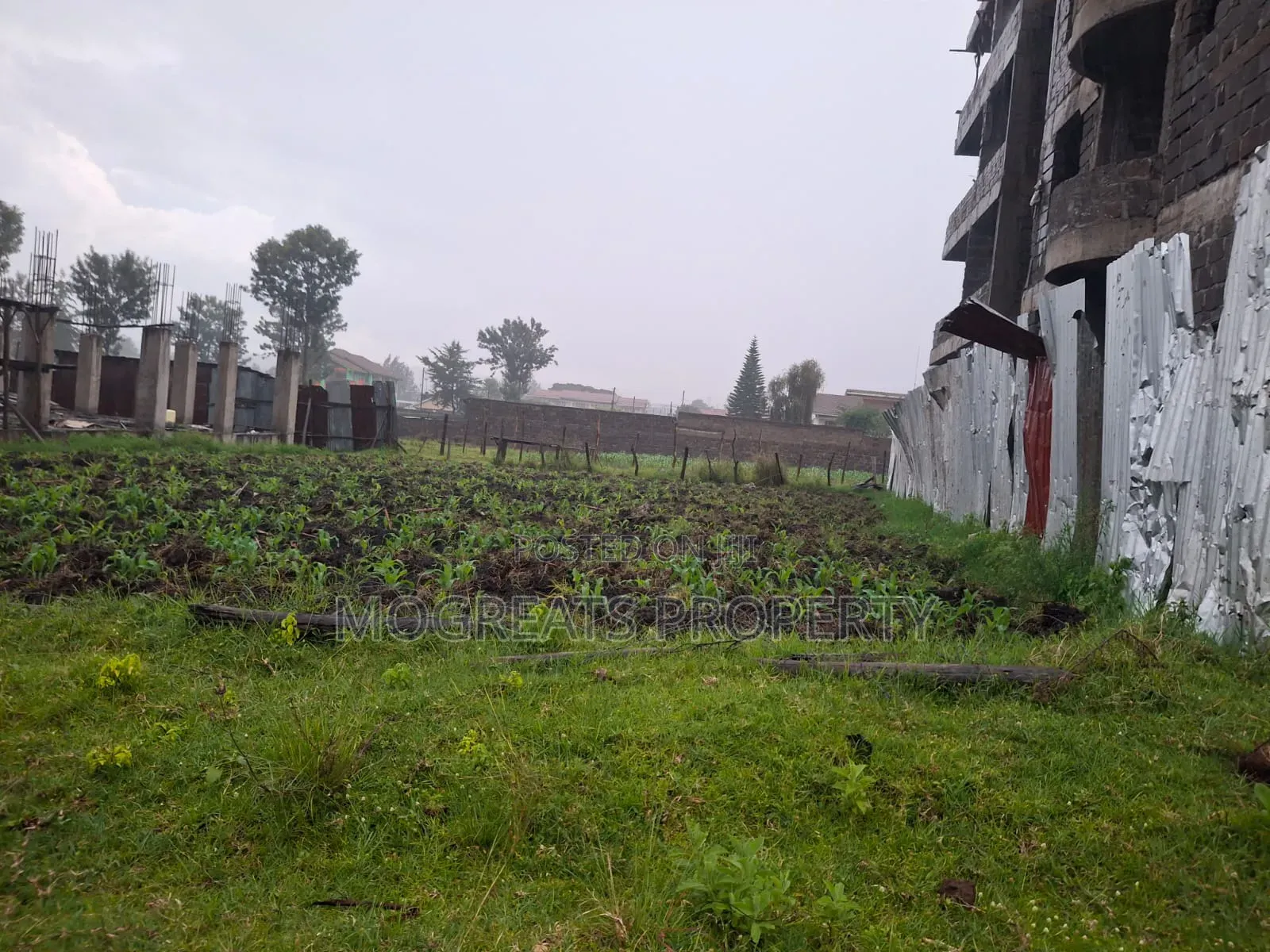 50*100 (1/8) Plot for Sale Kiamunyi Nakuru in Kiamunyi