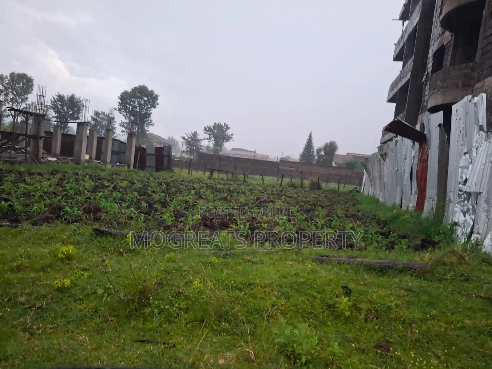 50*100 (1/8) Plot for Sale Kiamunyi Nakuru in Kiamunyi