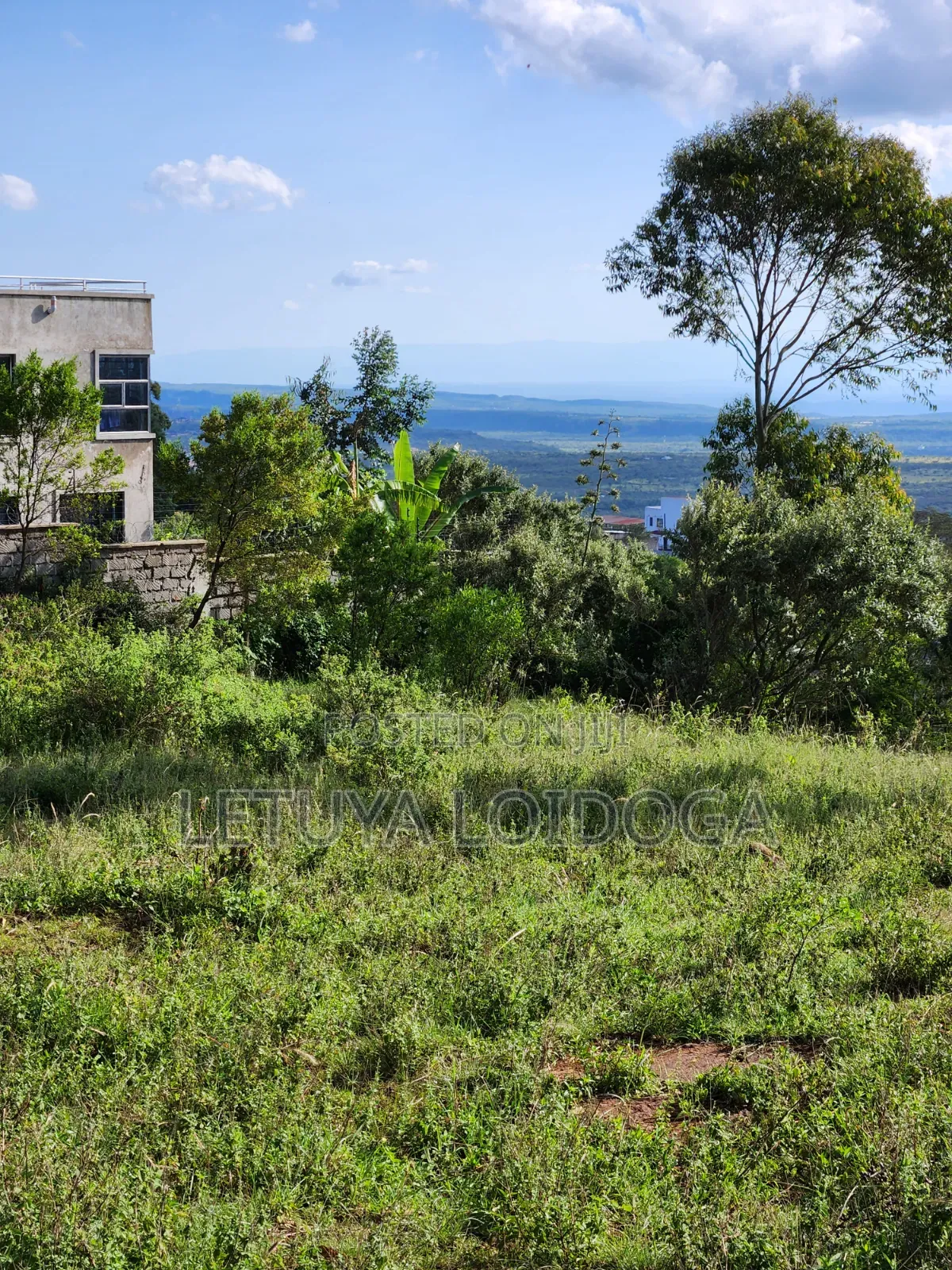 3⁄8 Acre Plots on Sale Ngong-Kibiko ( Baboon Crescent) in Kibiku