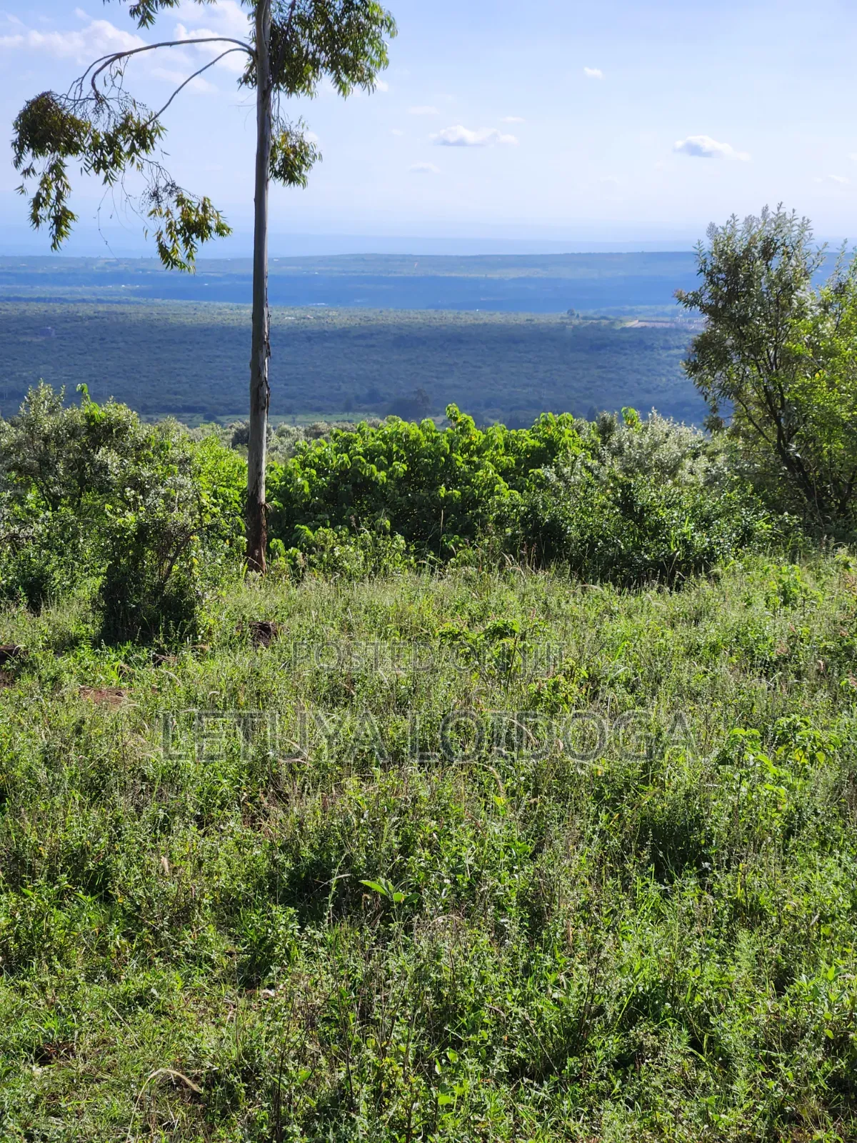 3⁄8 Acre Plots on Sale Ngong-Kibiko ( Baboon Crescent) in Kibiku