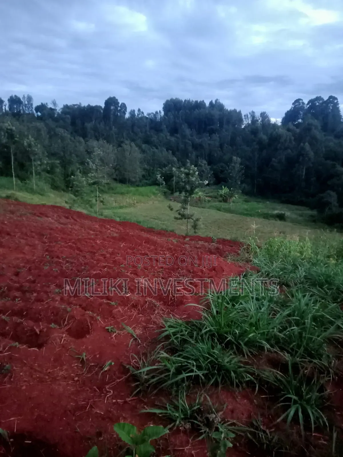 4 Acres on Sale-Kiharu in Gitugi
