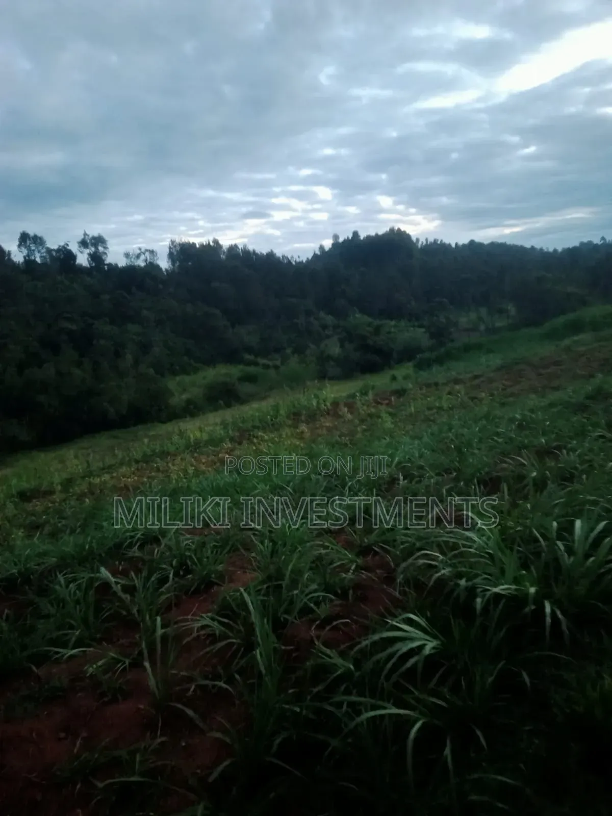 4 Acres on Sale-Kiharu in Gitugi