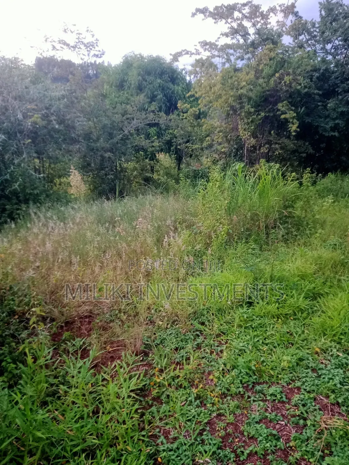 2.4 Acres on Sale at Mukangu-Kiharu in Gitugi