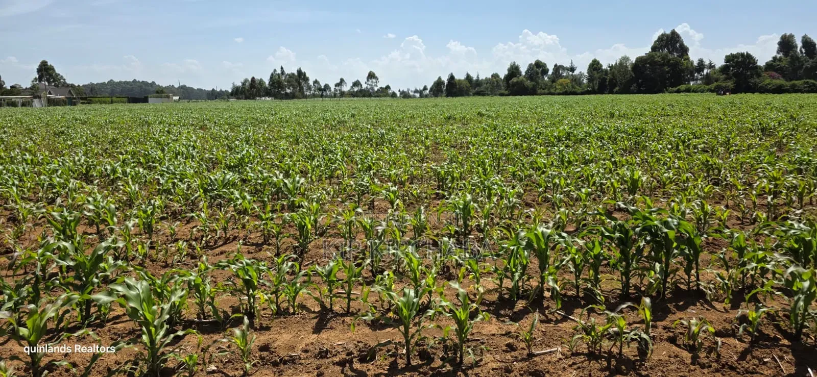 5 Acres for Sale in Illuoa Eldoret in Illula