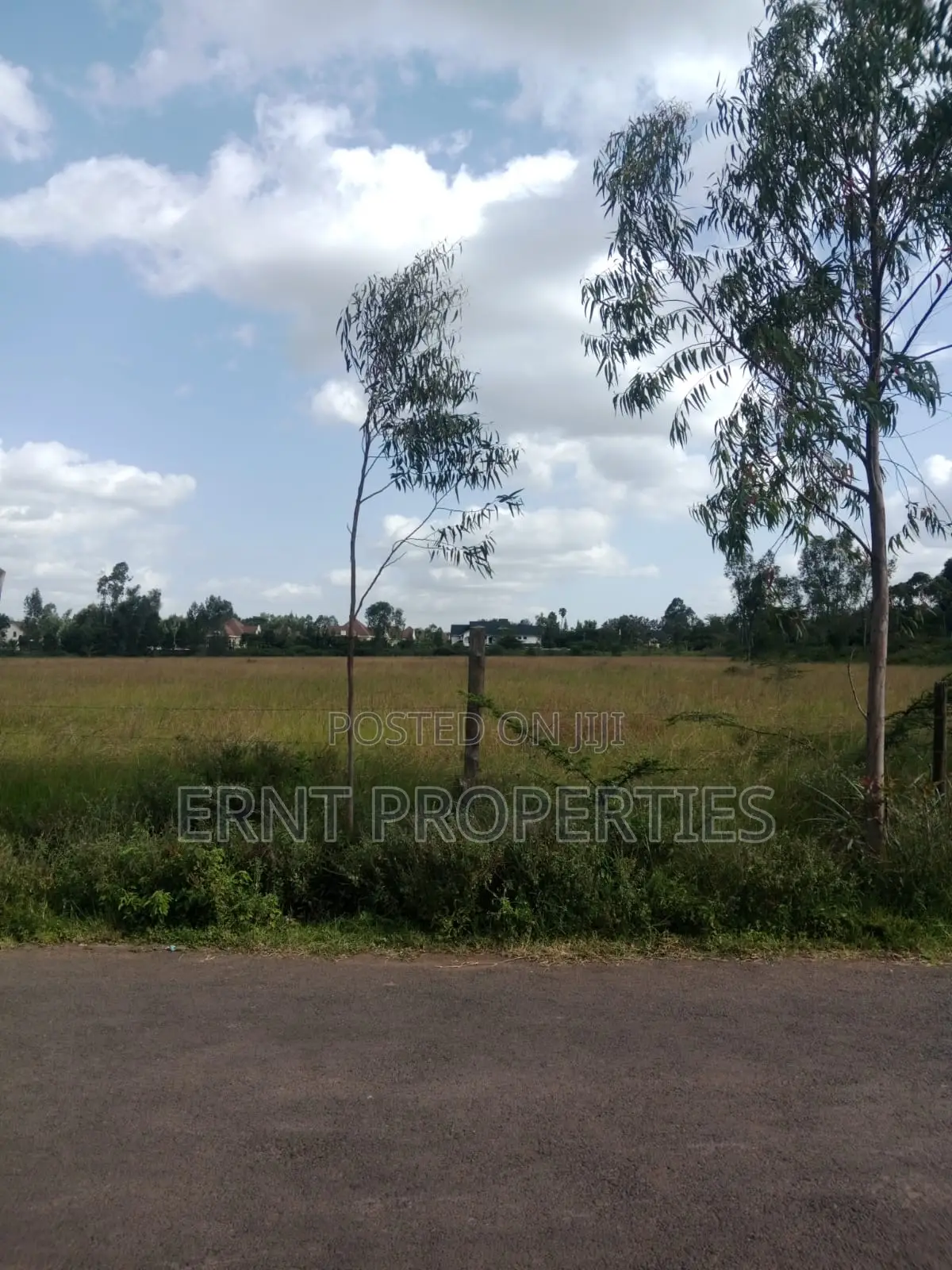 Rare 11.5 Acres on Light Academy Road, Karen in Karen
