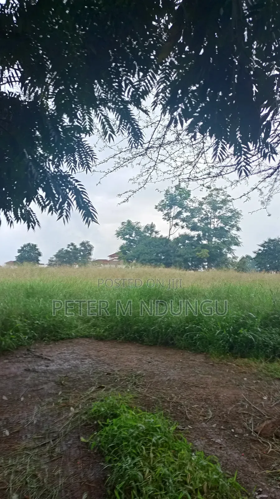 Kiambu Road Kasarini-Prime Five Acres, Flat Land Ideal for Townhouses in Thindigua/Kasarini