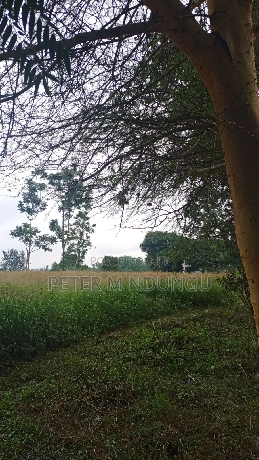 Kiambu Road Kasarini-Prime Five Acres, Flat Land Ideal for Townhouses in Thindigua/Kasarini